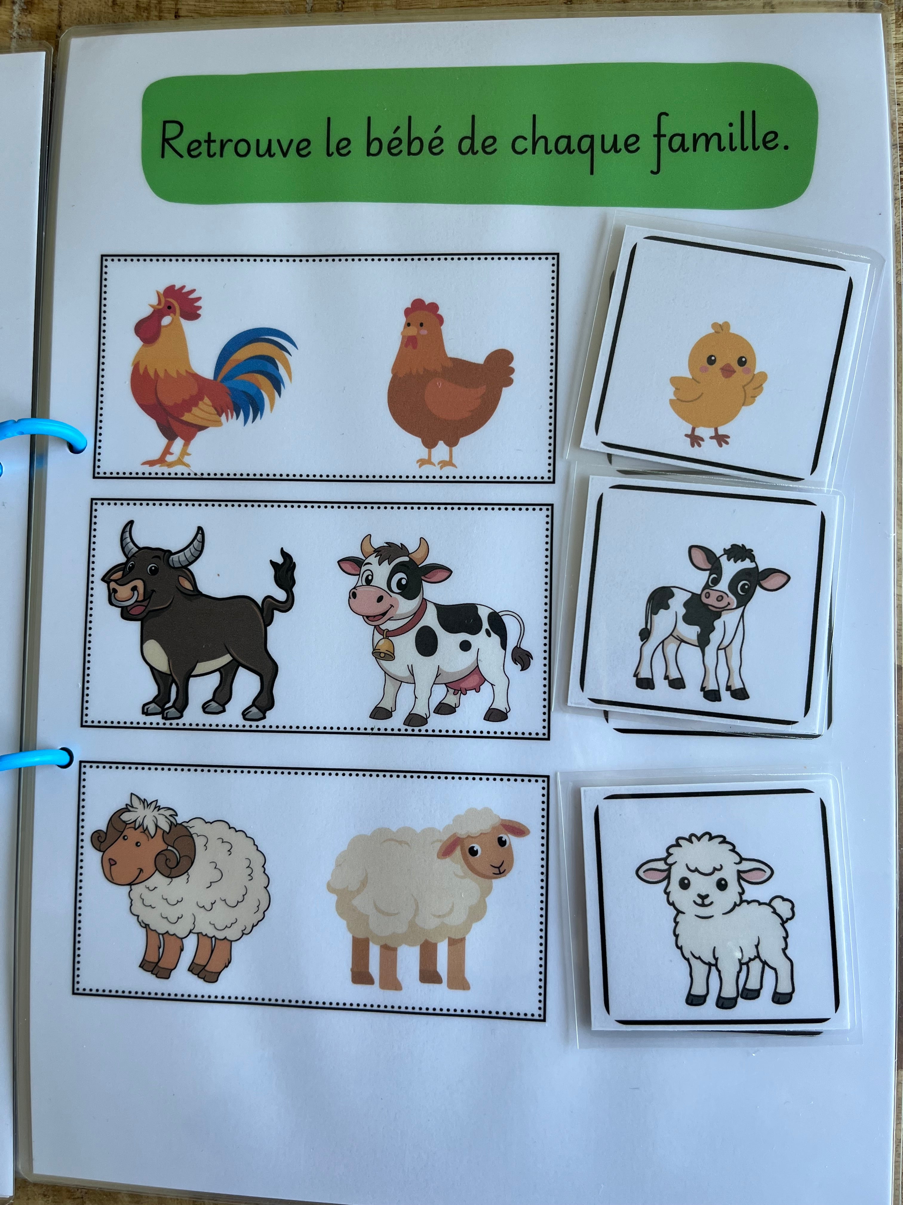 Mon livre d'activités à la ferme