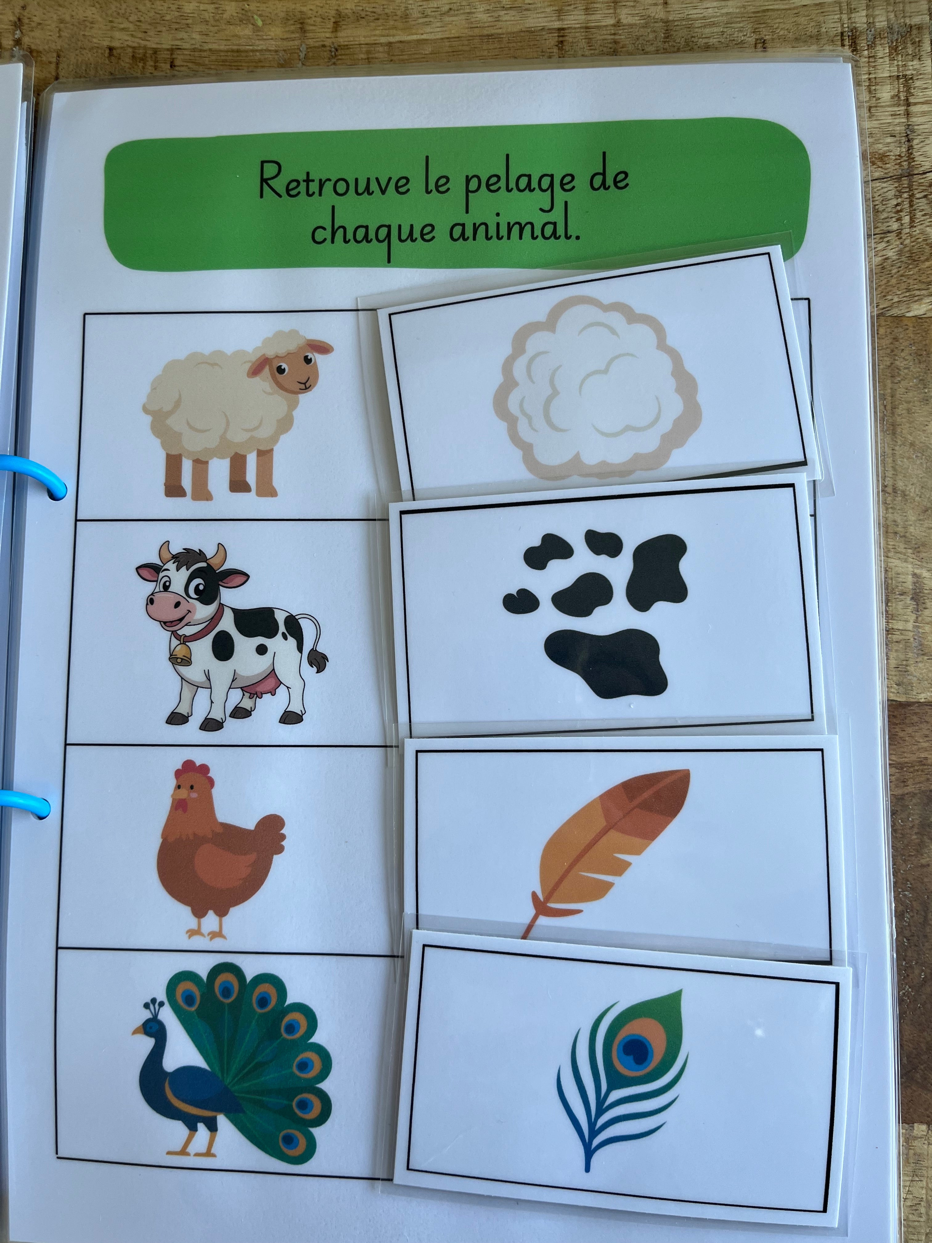 Mon livre d'activités à la ferme