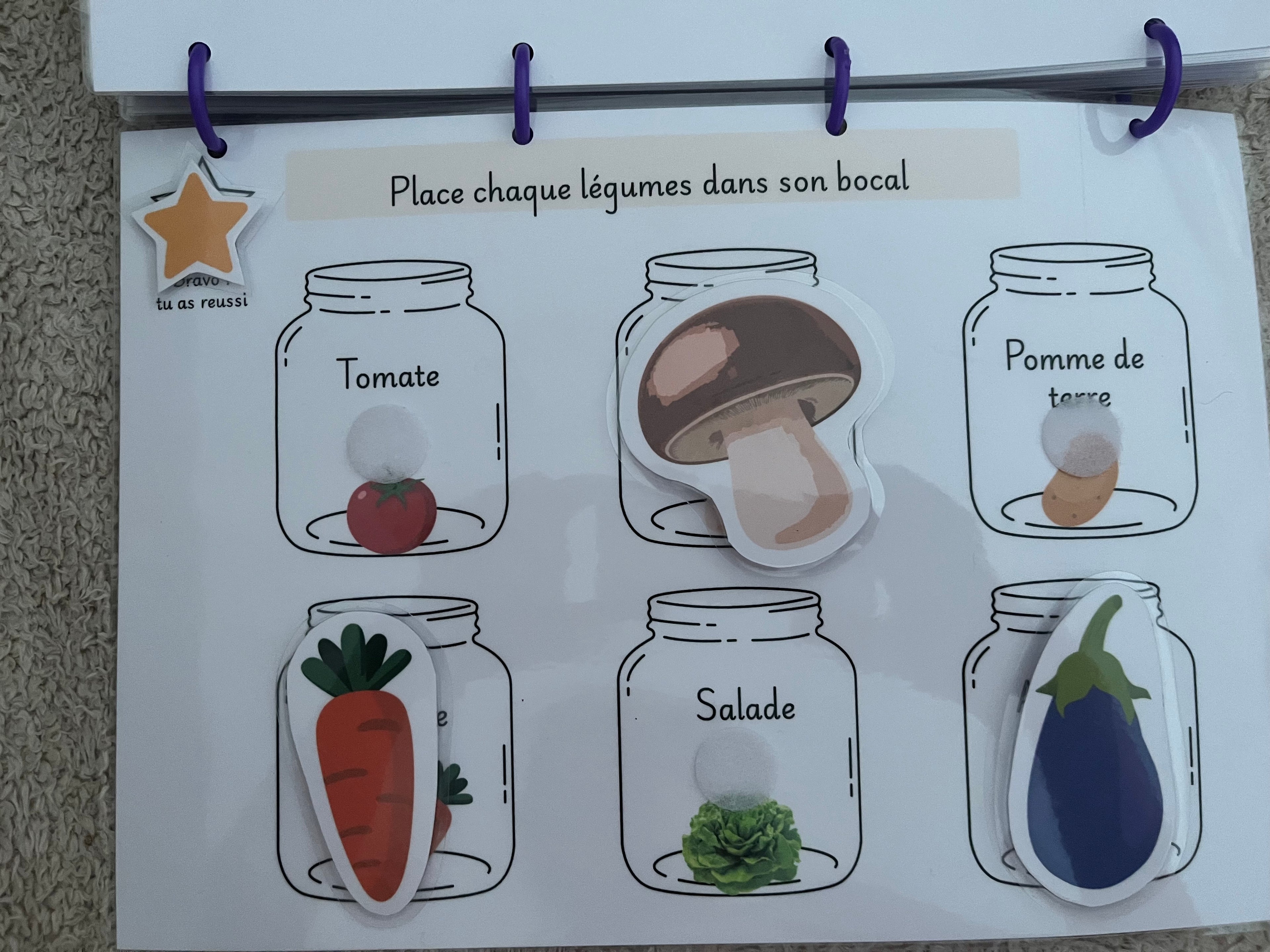 Mon premier livret d activité