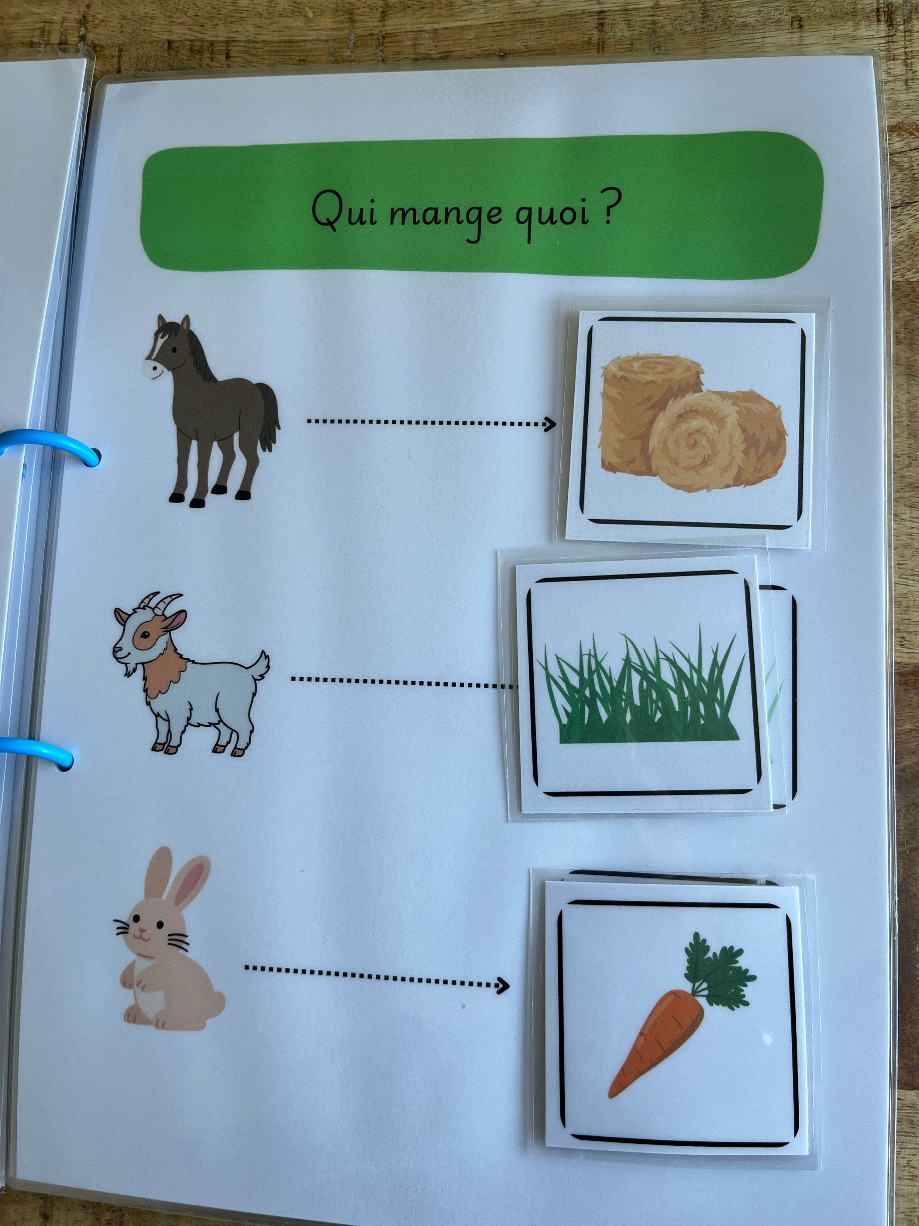 Mon livre d'activités à la ferme