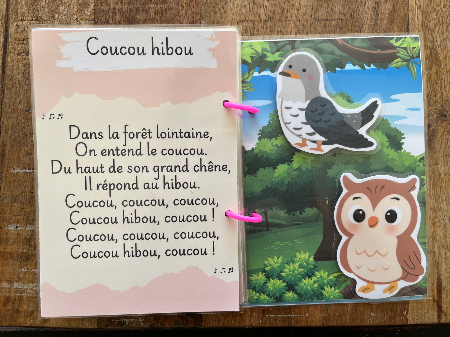 Les Premières Comptines – Livre Scratch & Chante !